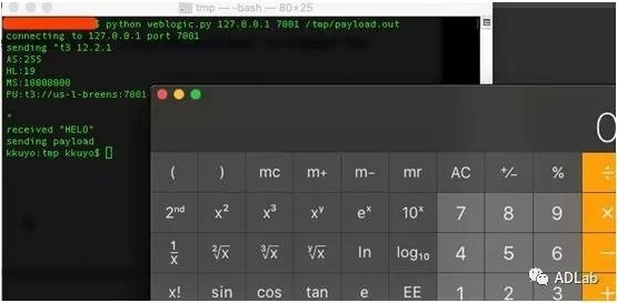 ��������(�й���)���¹ٷ���վ