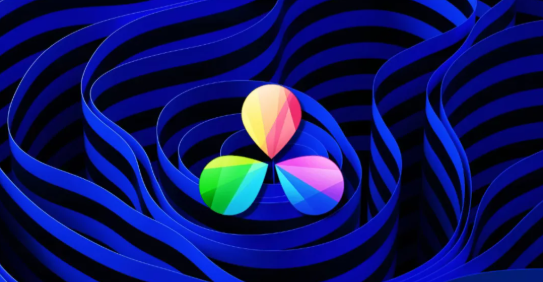 Blackmagic�������ƷDaVinci Resolve�е�2����϶.png