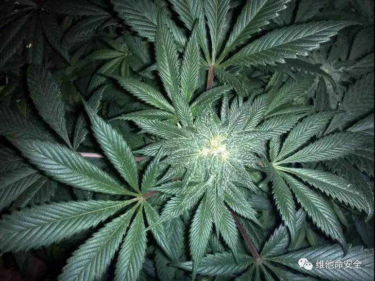 ��������(�й���)���¹ٷ���վ