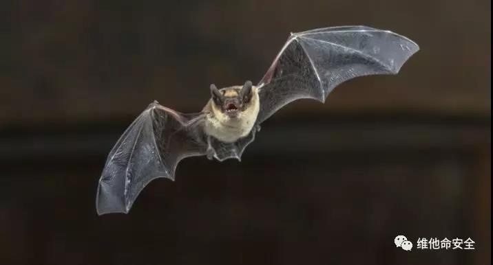 ��������(�й���)���¹ٷ���վ