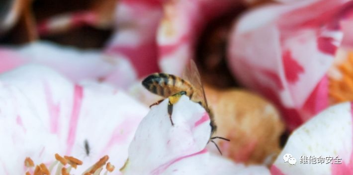 ��������(�й���)���¹ٷ���վ