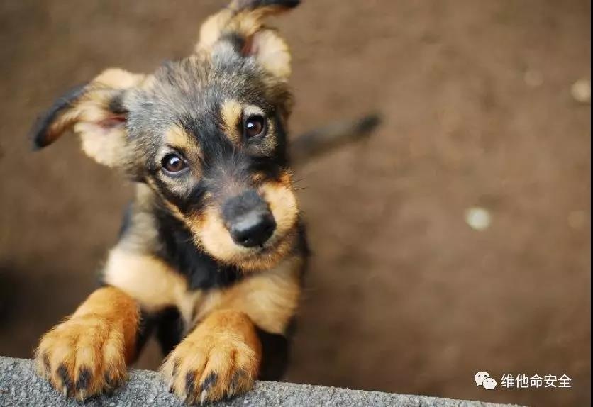 ��������(�й���)���¹ٷ���վ