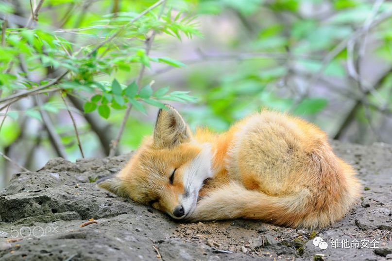 ��������(�й���)���¹ٷ���վ