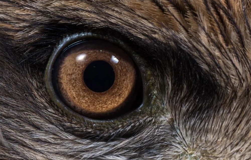 ��������(�й���)���¹ٷ���վ